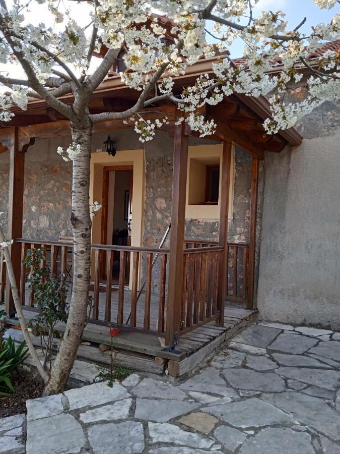 Arcadianis Lakeview Villa At Psari Arkadias Psárion Eksteriør bilde